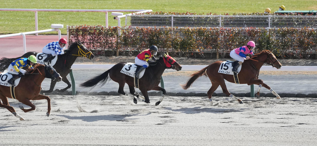 中京3R新馬戦　１着のメイトースイ（右端）（撮影・森本幸一）