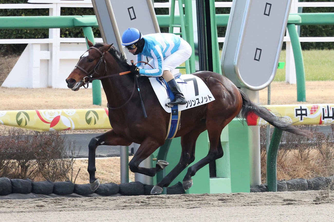 中山4R新馬戦を制したプリンスノットとルメール騎手（撮影・丹羽敏通）