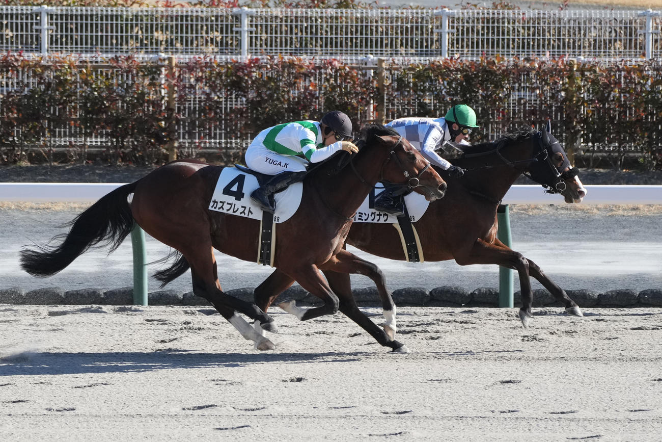 中京8R　1着のタイミングナウと武豊騎手（奥）（撮影・森本幸一）