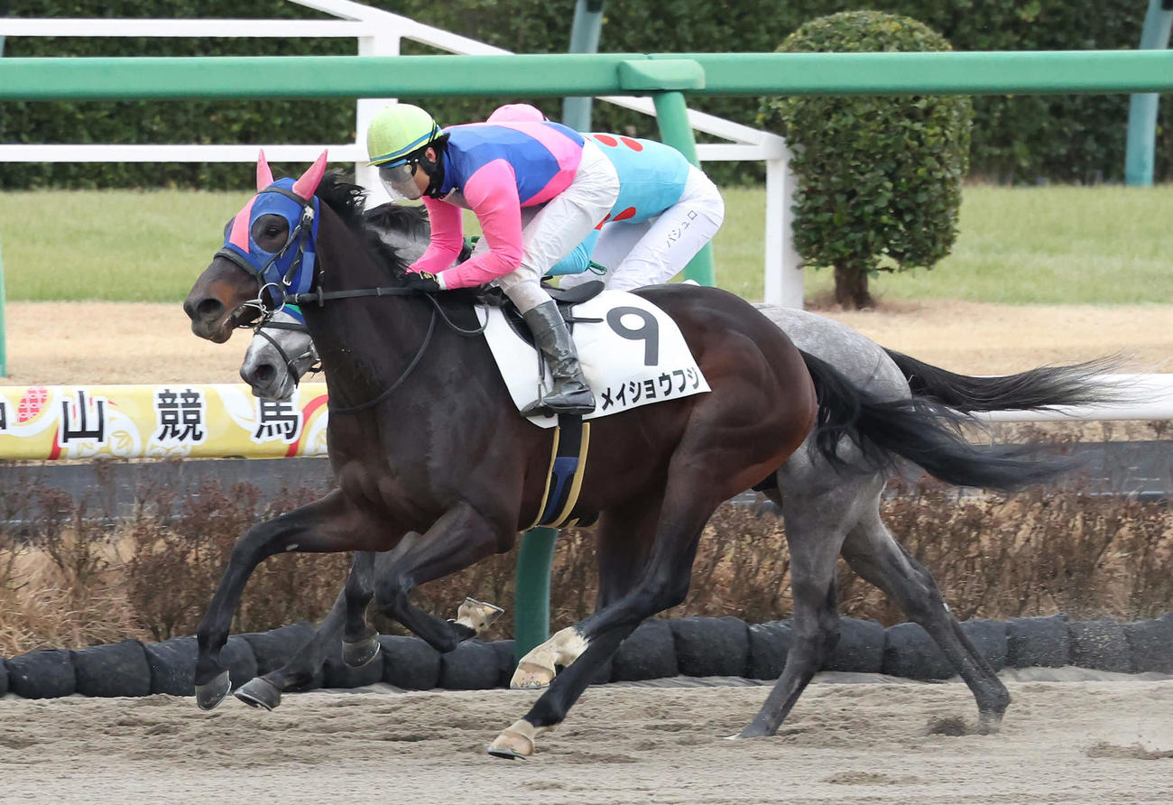 中山6R、3歳新馬戦を制したメイショウフジと大野騎手（撮影・丹羽敏通）