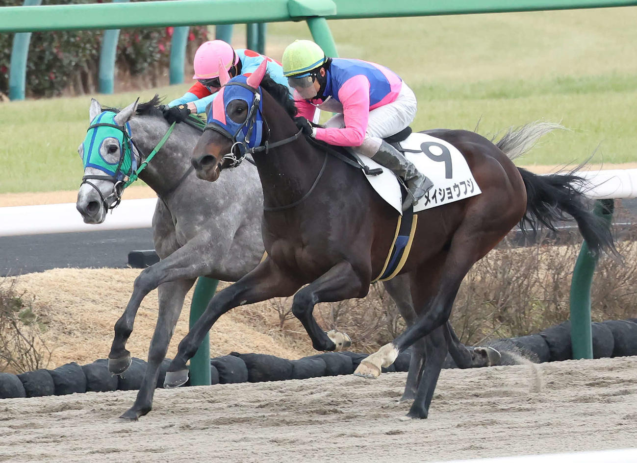 3歳新馬戦を制したメイショウフジと大野騎手（右）。左は2着コルサファターレ（撮影・丹羽敏通）
