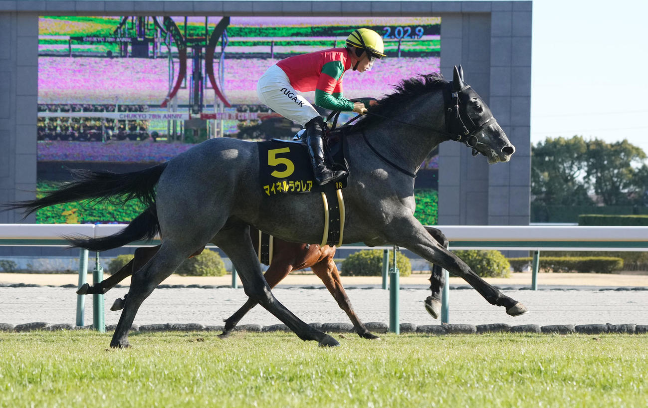 中京10R若駒ステークス1着5番マイネルラウレア（撮影・森本幸一）