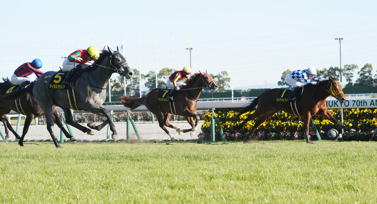 若駒Sを制したマイネルラウレアと川田騎手（左）。右は2着ワンダイレクト（撮影・森本幸一）