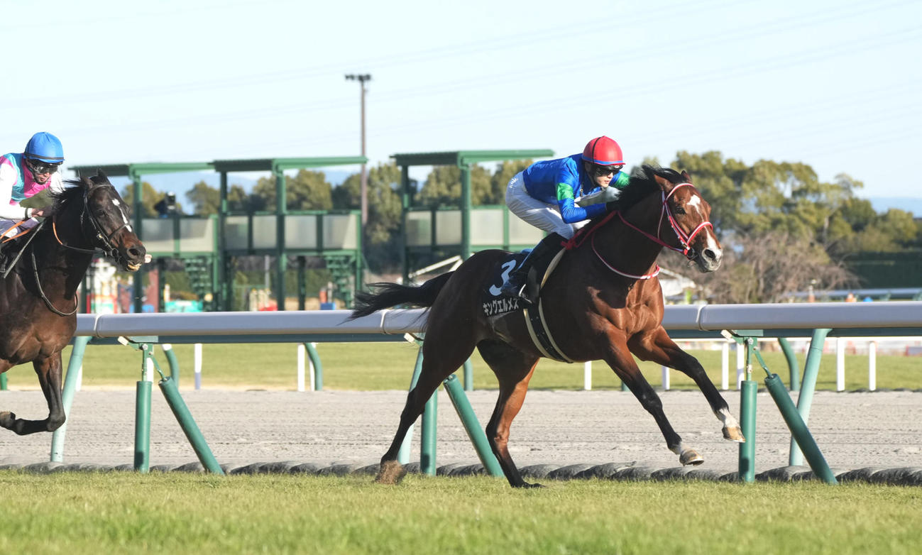 睦月Sを快勝したキングエルメスと坂井騎手（撮影・森本幸一）