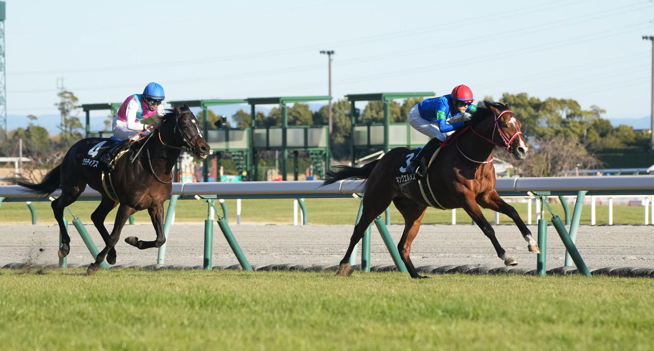 睦月Sを快勝したキングエルメスと坂井騎手（撮影・森本幸一）