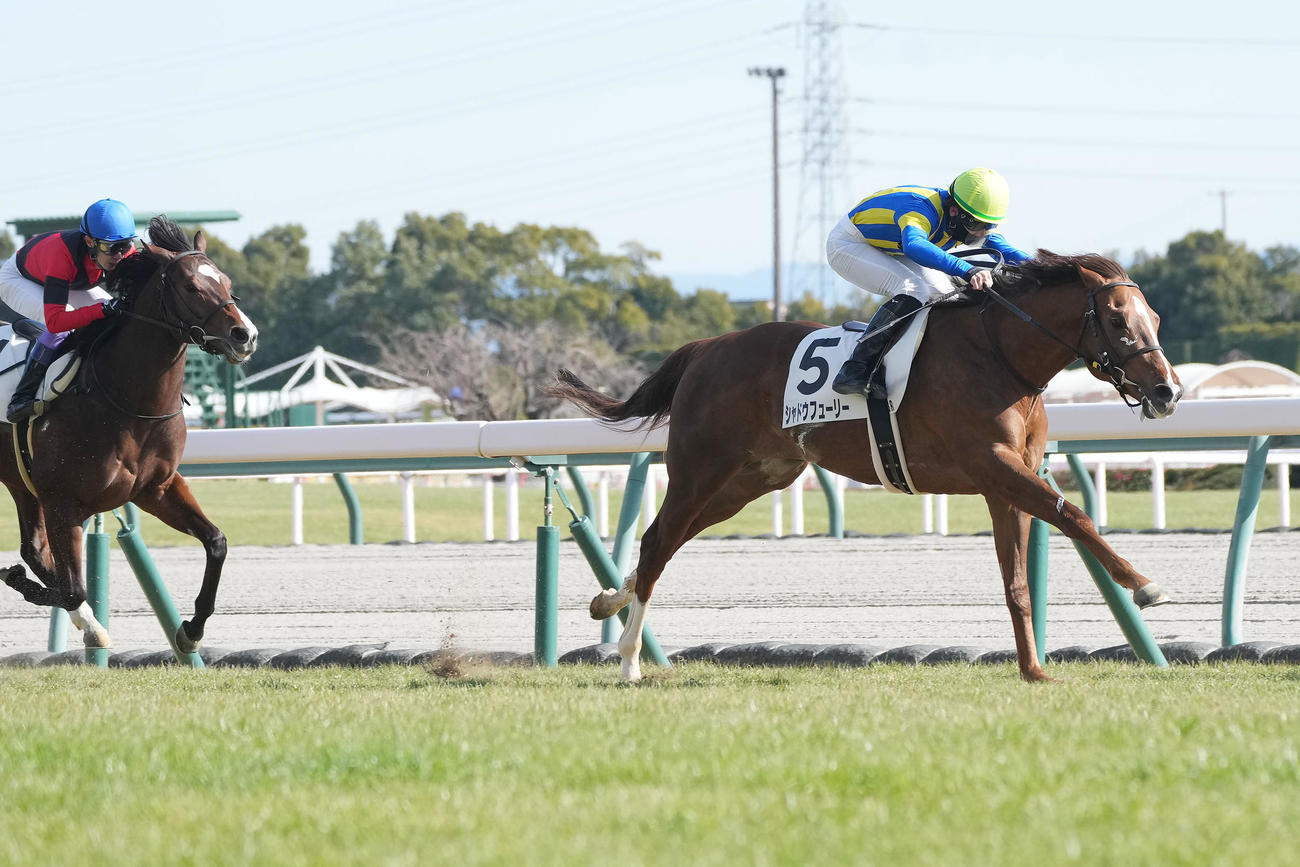 中京6R1着のシャドウフューリー（撮影・森本幸一）