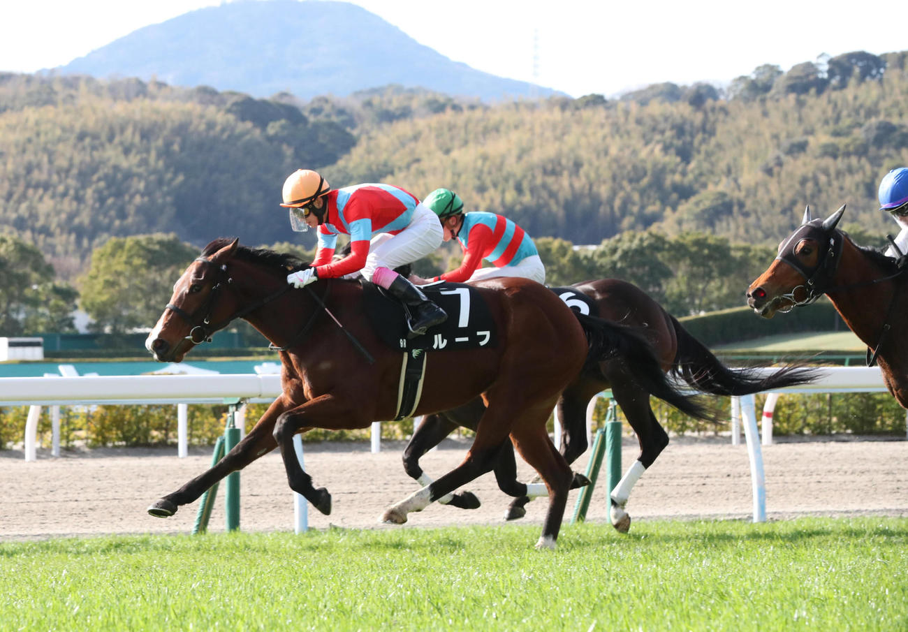 ゴール前で差し切り萌黄賞を制したルーフと藤岡康騎手（撮影・梅根麻紀）
