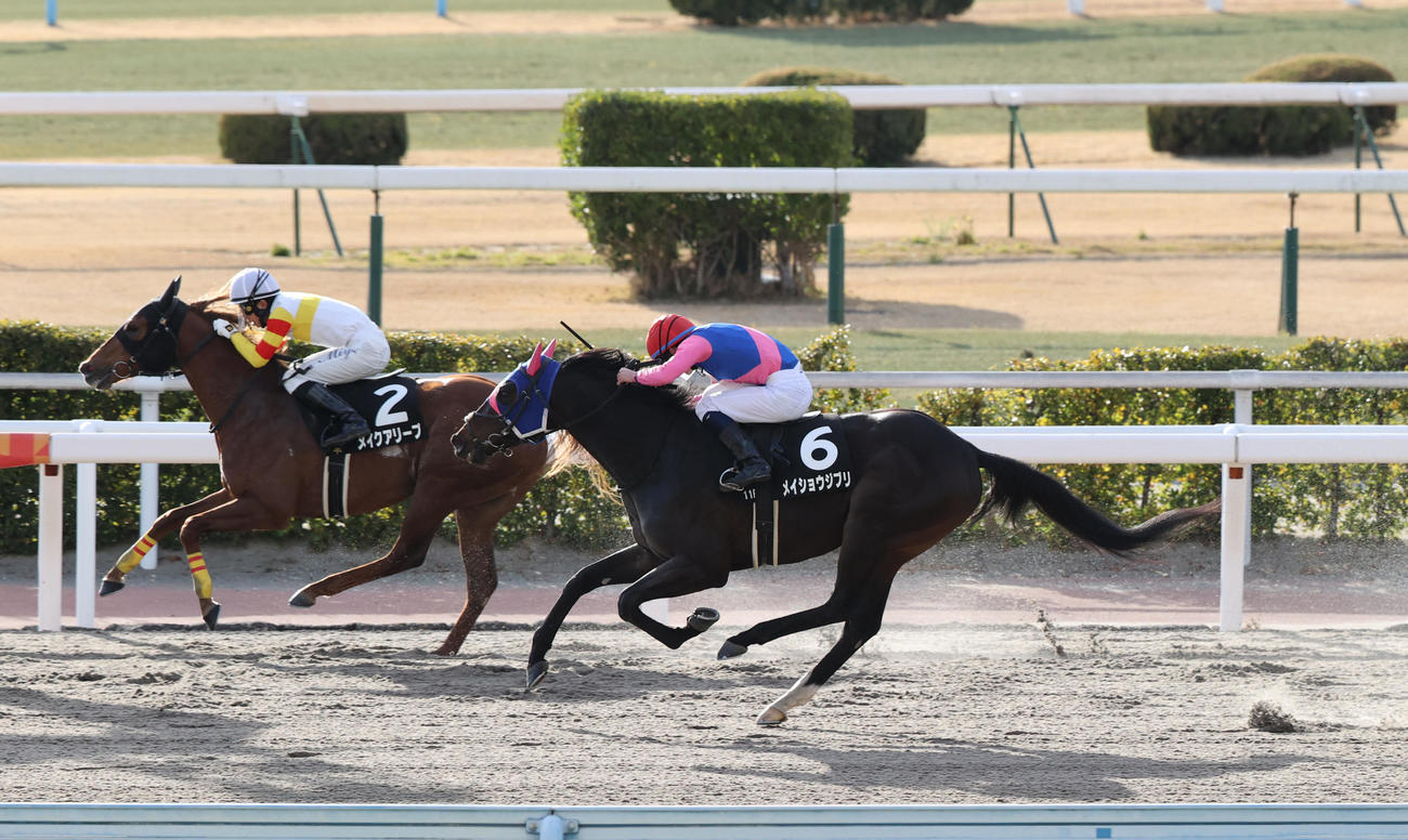 逃げ切って小倉城特別を制したメイクアリープと幸騎手（左）（撮影・梅根麻紀）