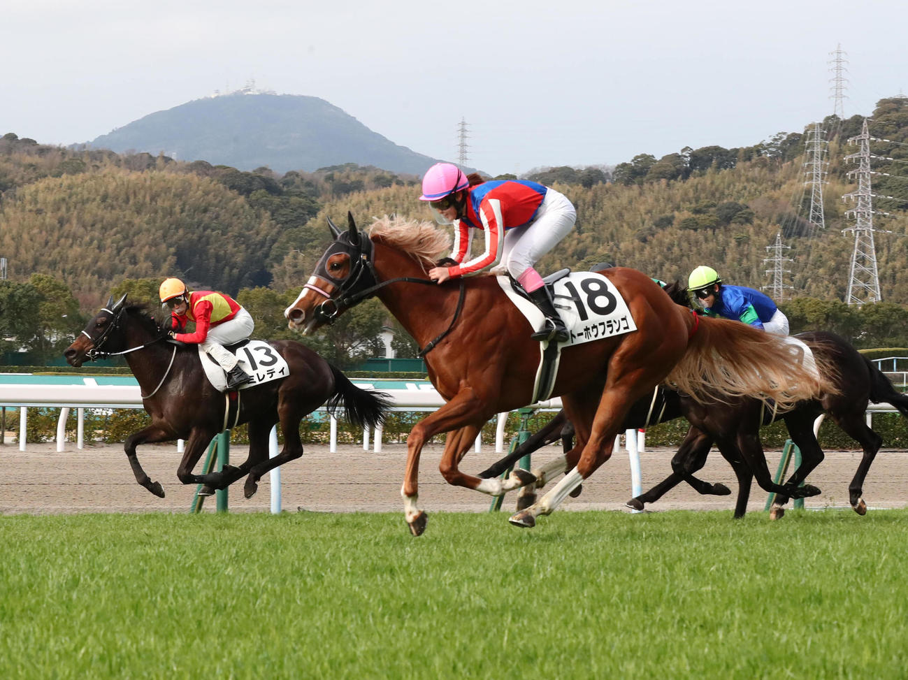 小倉2Rを制したトーホウフランゴと永島まなみ騎手（中央）（撮影・梅根麻紀）