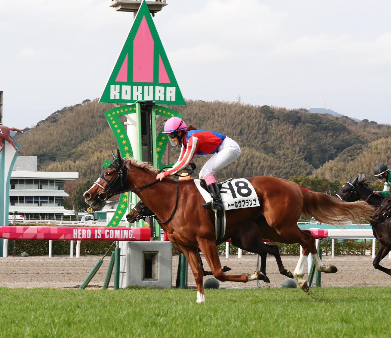 小倉2R、トーホウフランゴと永島まなみ騎手は直線を大外から差し切ってゴール（撮影・梅根麻紀）
