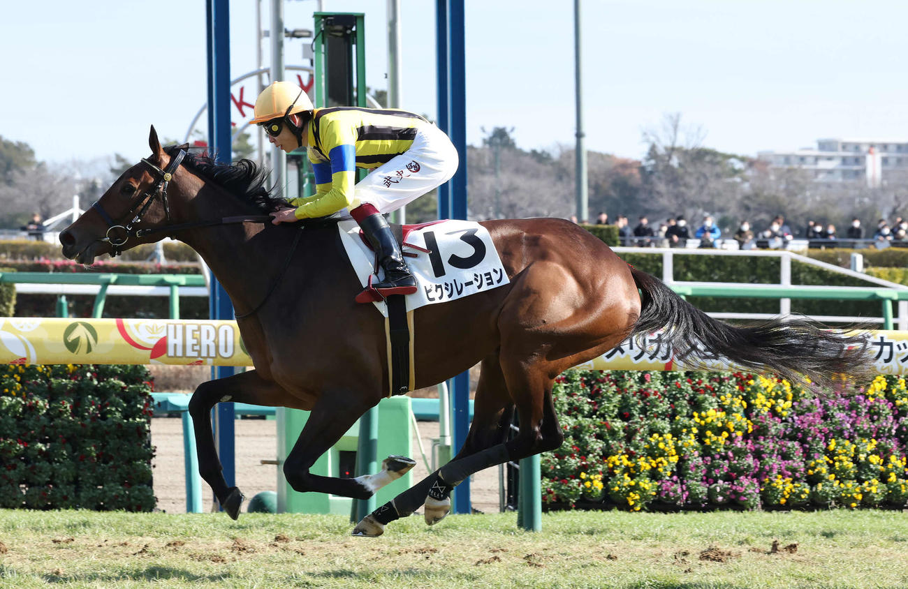 中山6R新馬戦を制したピクシレーションと横山武騎手（撮影・丹羽敏通）
