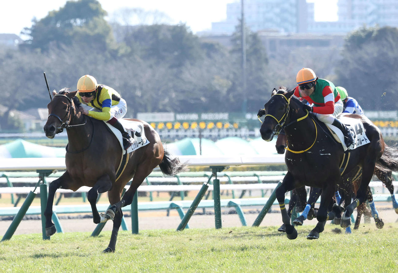 中山6R新馬戦を制したピクシレーション（左）と、1番人気で2着のダールフルート（撮影・丹羽敏通）