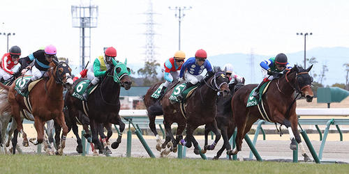 メイケイエール(右端)は直線抜け出してシルクロードSで復活の勝利=2022年1月30日、中京競馬場