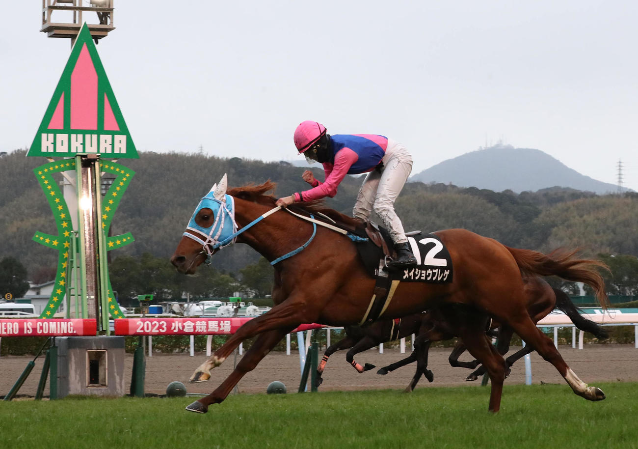 メイショウブレゲと今村聖奈騎手は外から差し切って海の中道特別を制す（撮影・梅根麻紀）