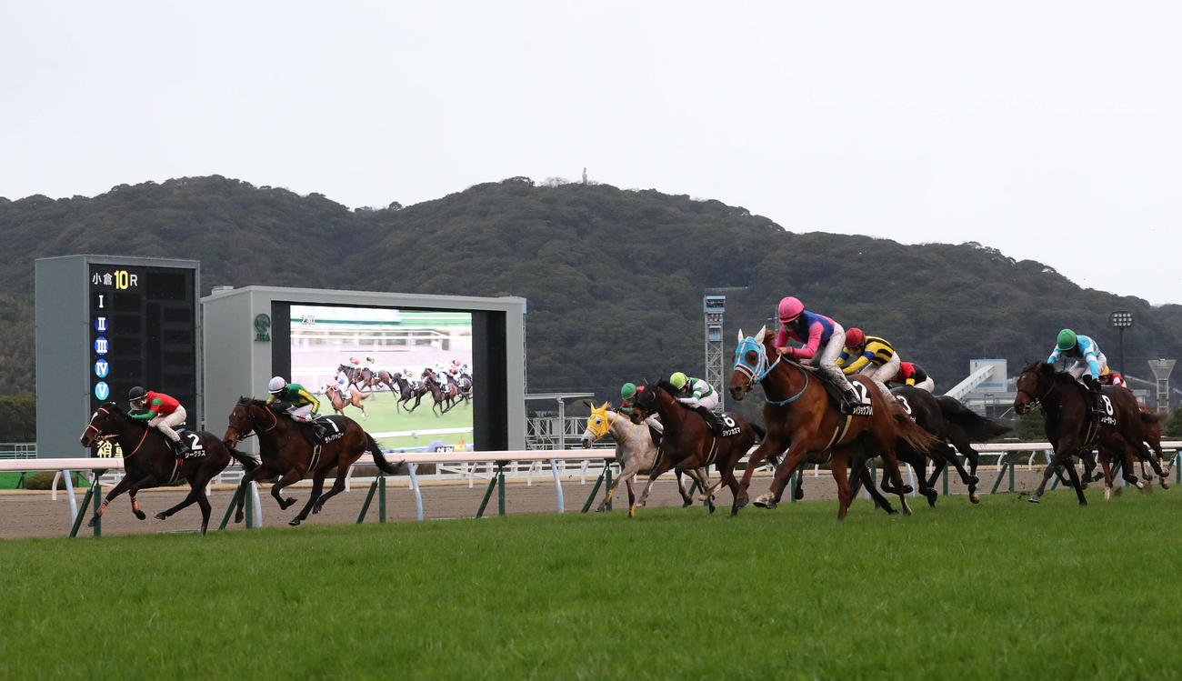 メイショウブレゲと今村聖奈騎手は外から差し切って海の中道特別を制す（撮影・梅根麻紀）