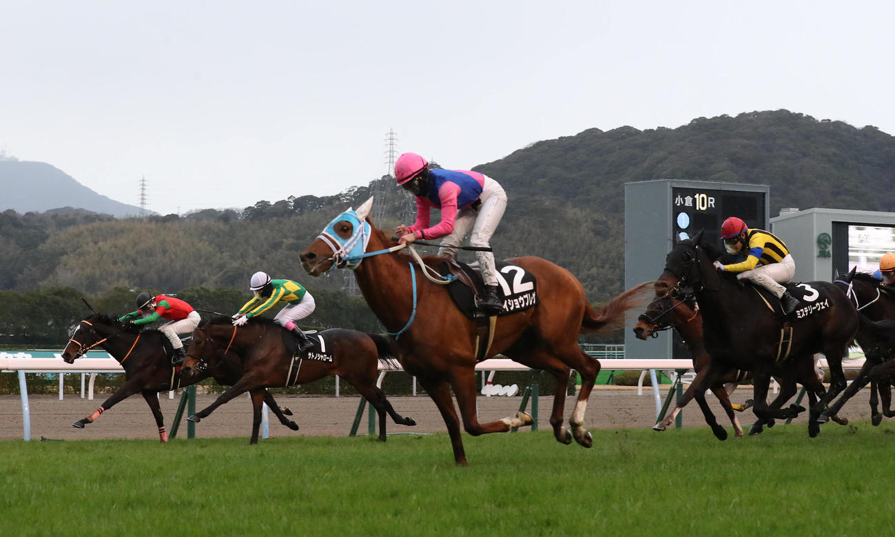 メイショウブレゲと今村聖奈騎手は外から差し切って海の中道特別を制す（撮影・梅根麻紀）