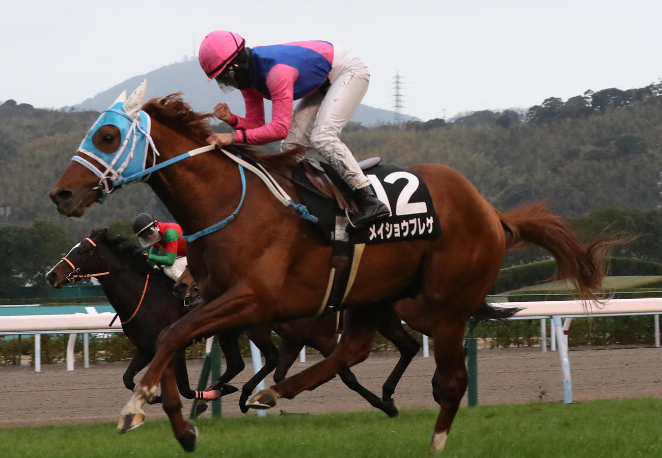 メイショウブレゲと今村聖奈騎手は外から差し切って海の中道特別を制す（撮影・梅根麻紀）