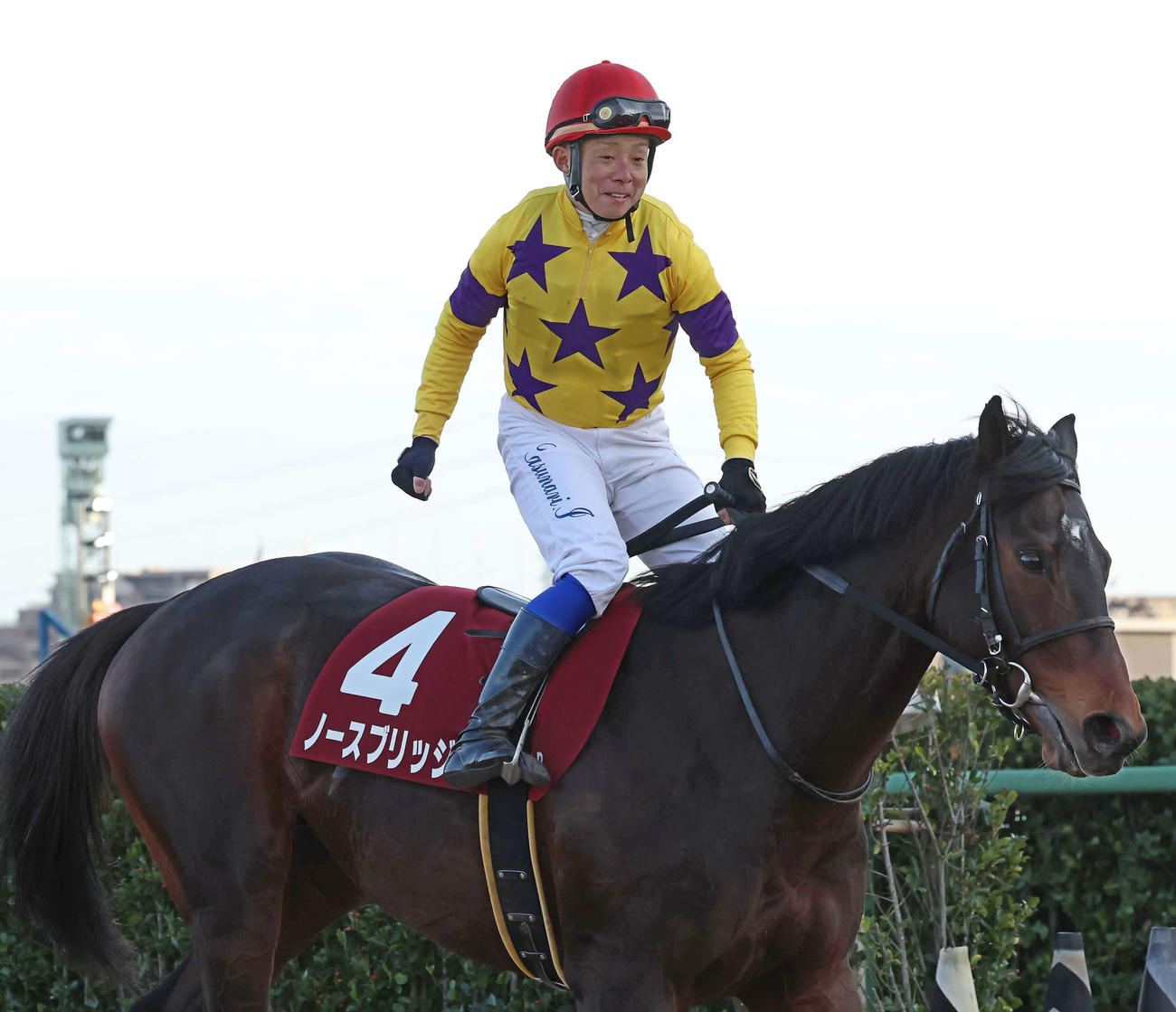 AJCCを制したノースブリッジと岩田康騎手（撮影・丹羽敏通）