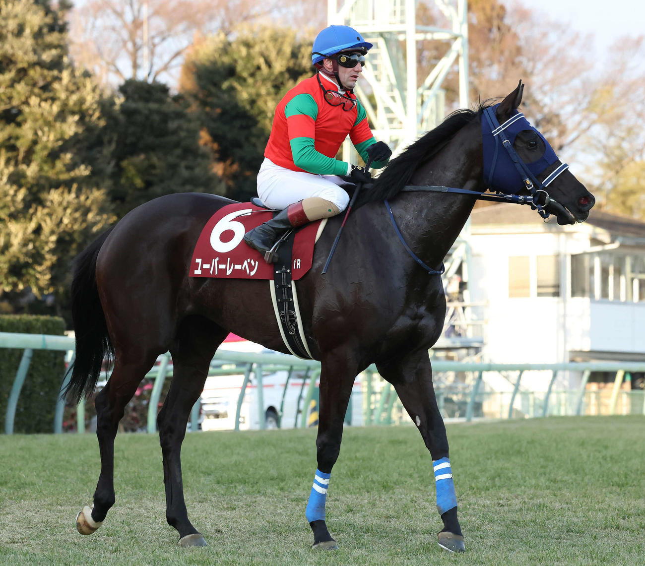 AJCCで3着になったユーバーレーベンとM・デムーロ騎手（撮影・丹羽敏通）