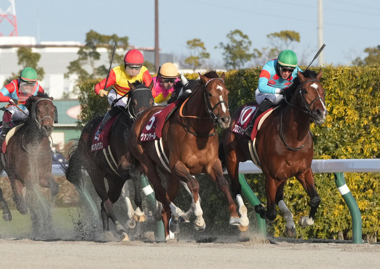 東海Sで“1着入線”のヴァンヤール（中央）。右は勝ったプロミストウォリア（撮影・森本幸一）