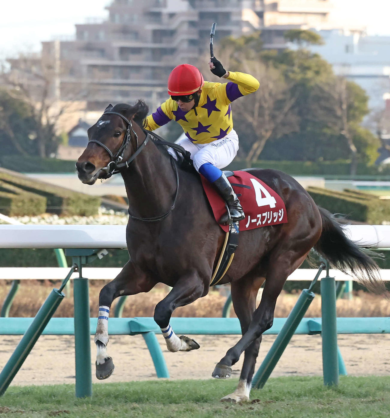 AJCCを制したノースブリッジと岩田康騎手（撮影・丹羽敏通）