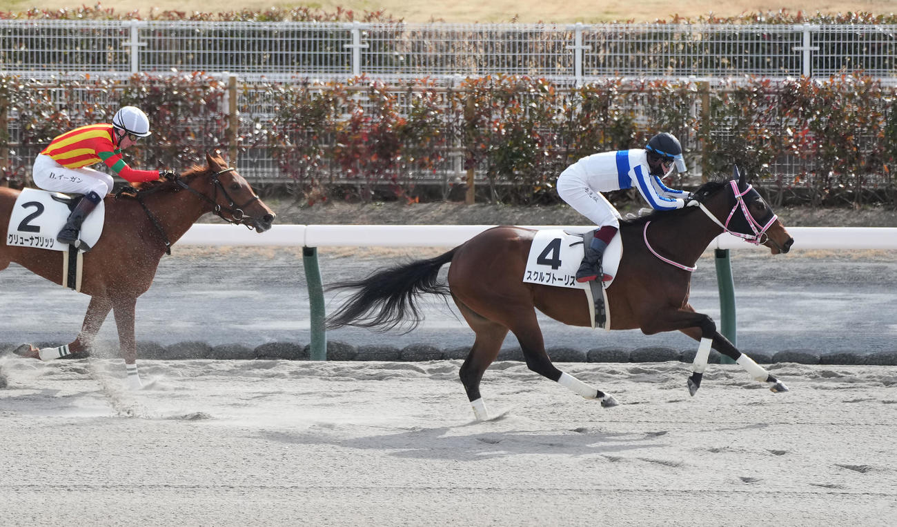 中京3Rを制したスクルプトーリス（撮影・森本幸一）