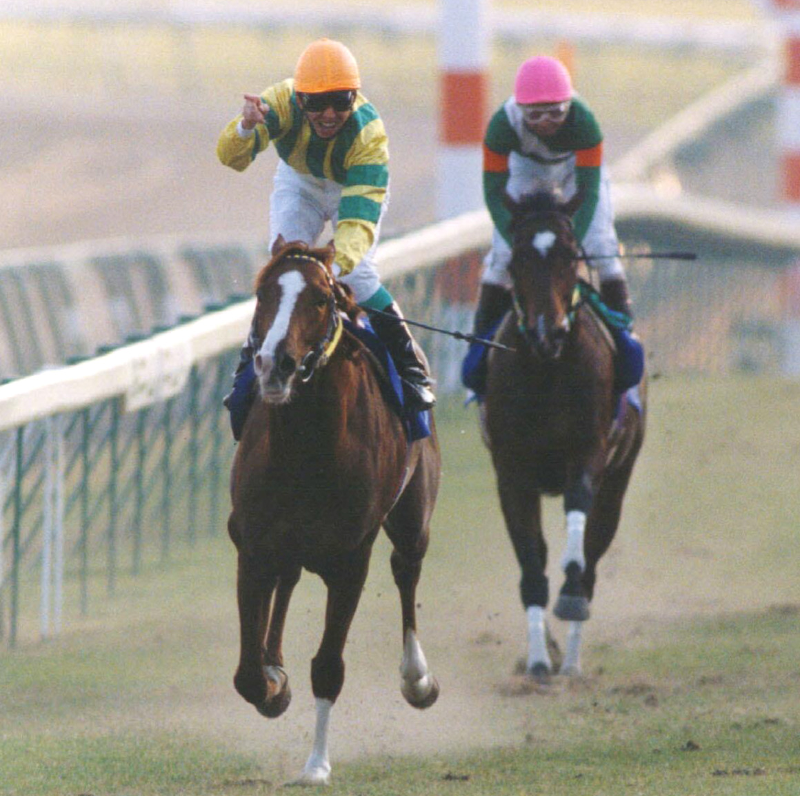 95年、有馬記念を制したマヤノトップガン（左）