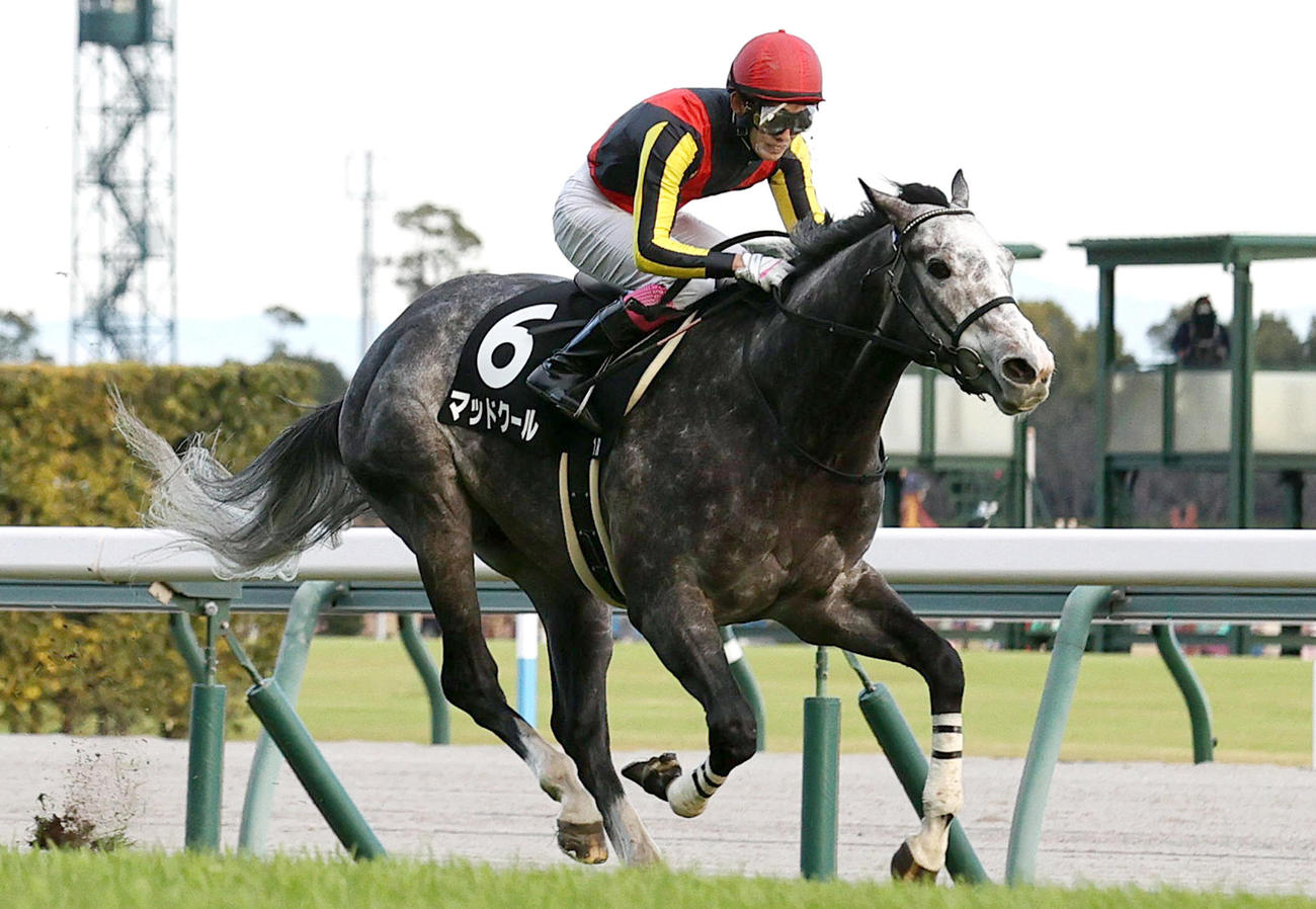前走知立Sを制したマッドクール（2022年12月11日撮影）