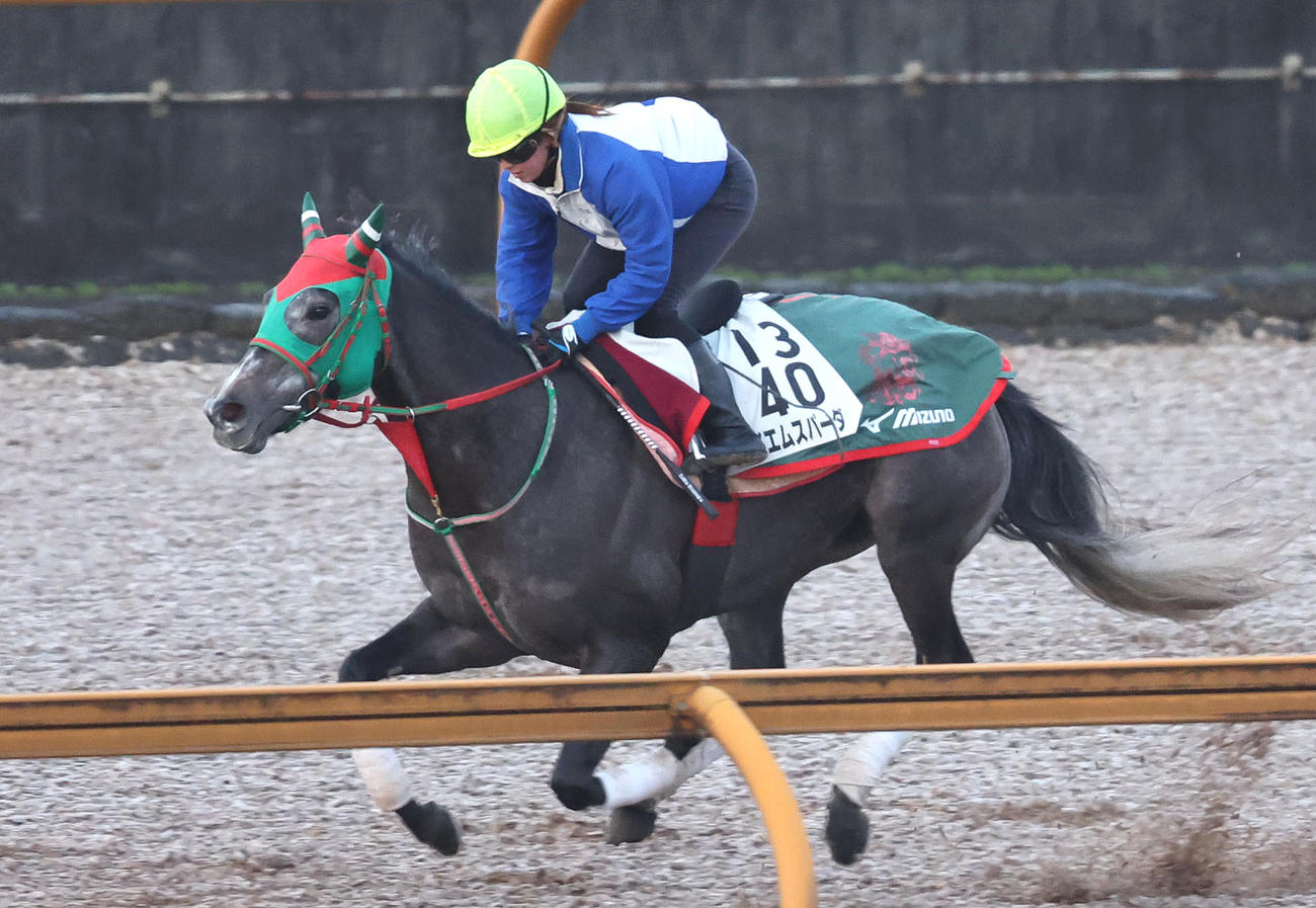 19日、今村聖奈騎手を背にCウッドを単走で追い切るテイエムスパーダ