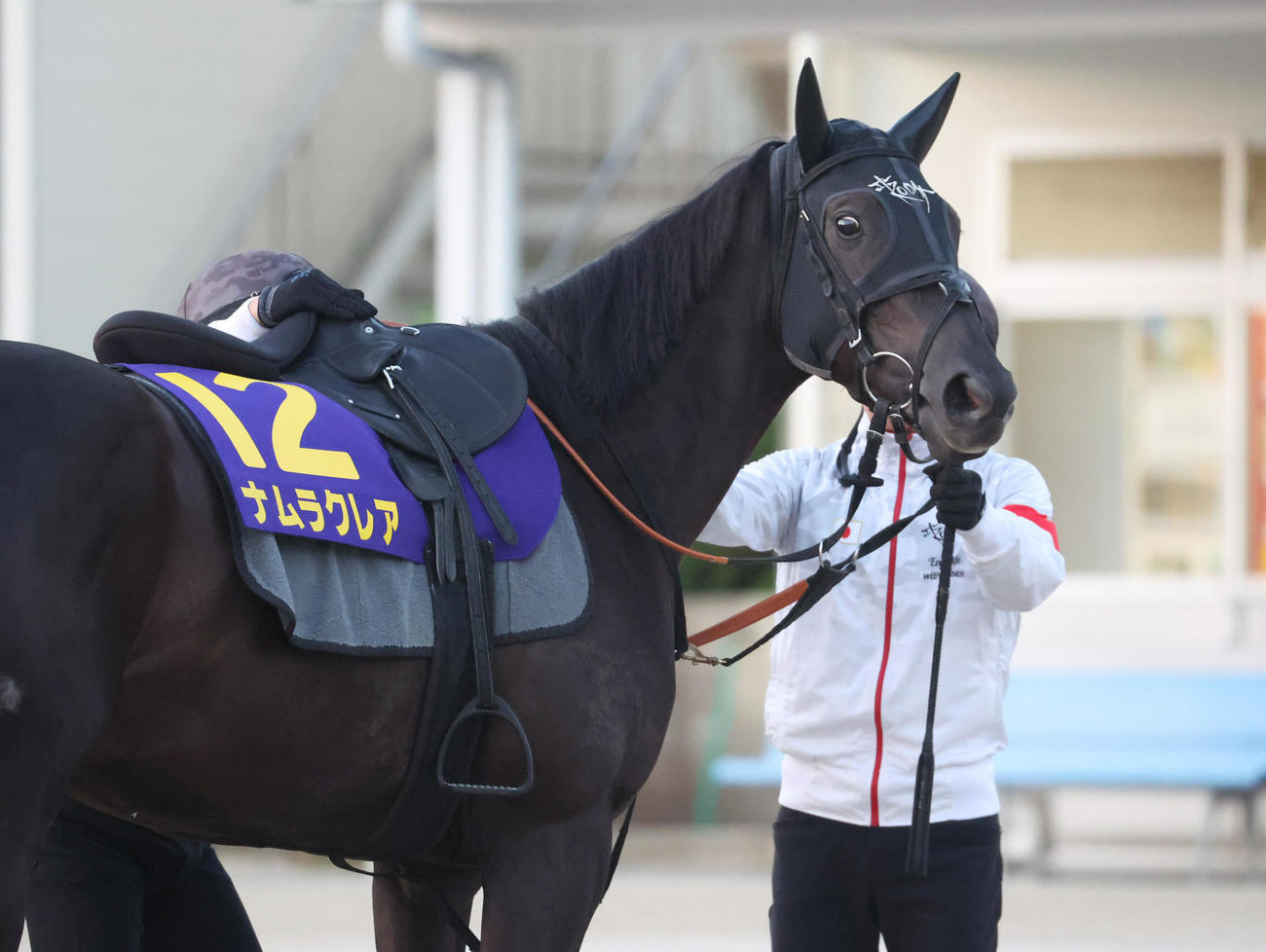 ナムラクレア（2022年9月撮影）