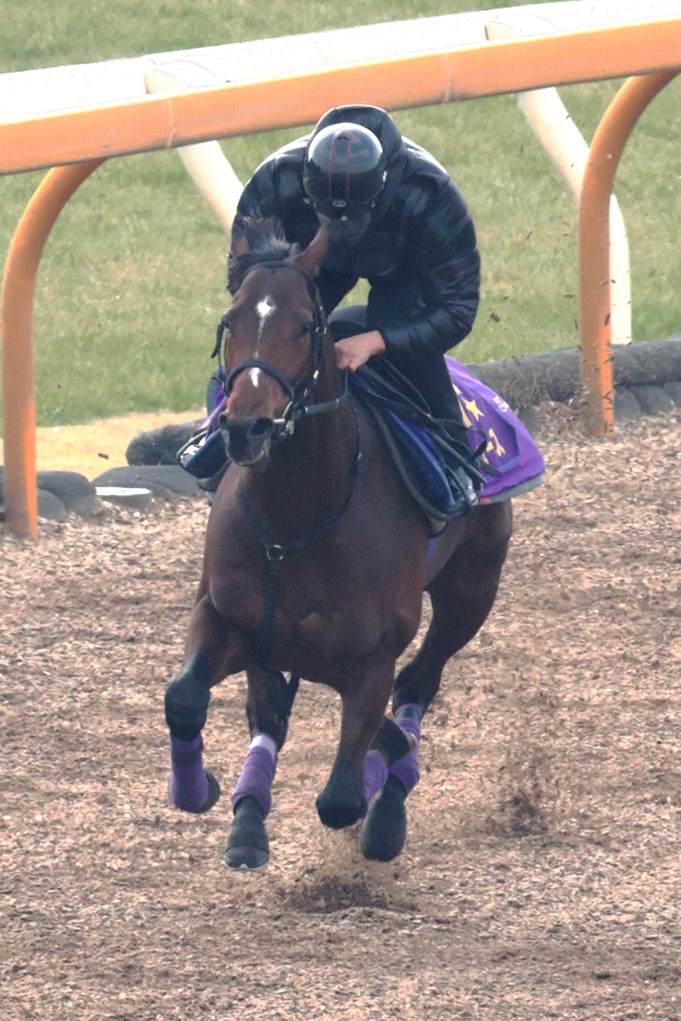 京都記念に向け、2週前追い切りを行ったドウデュース