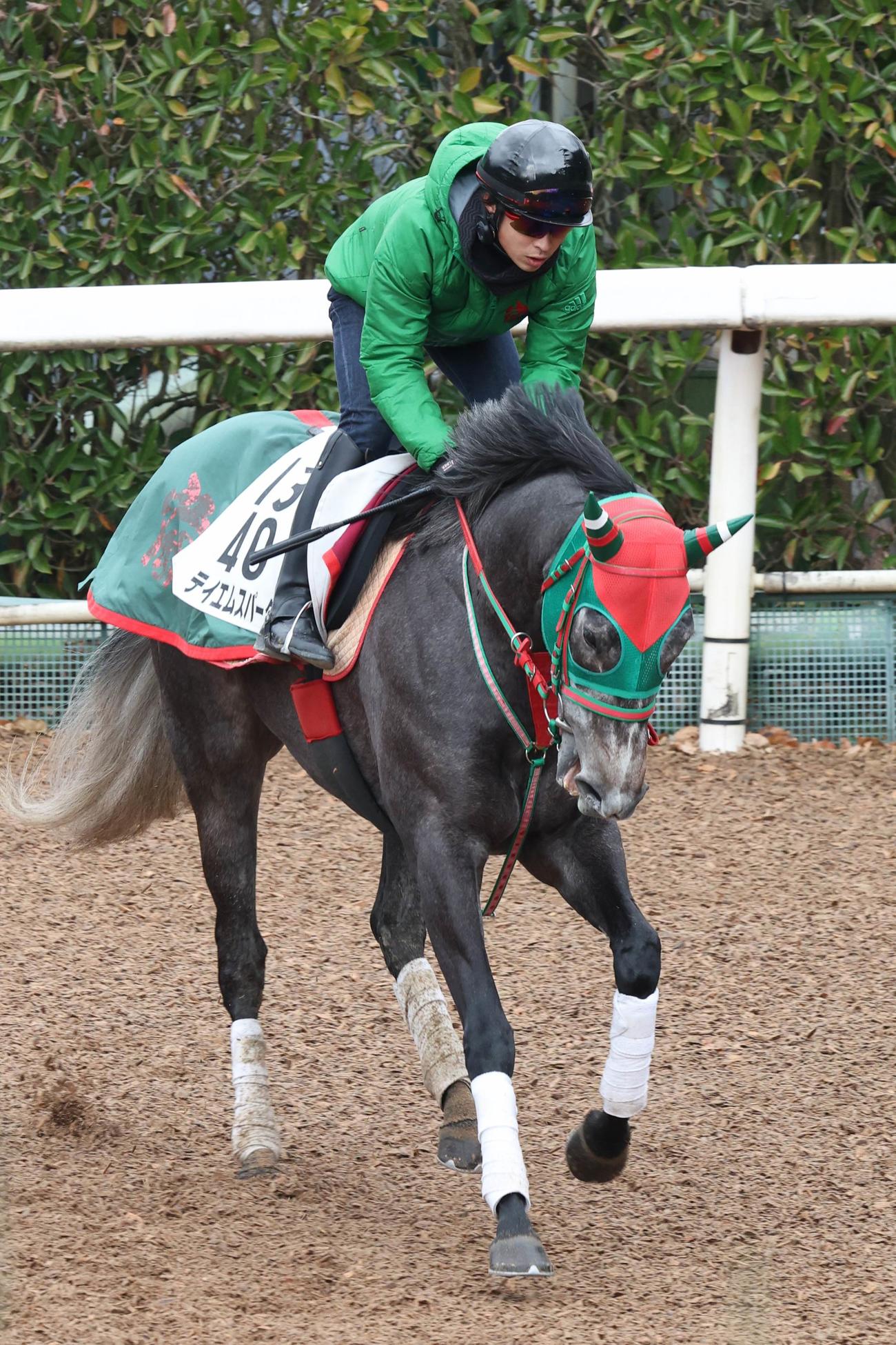 坂路で調整するテイエムスパーダ