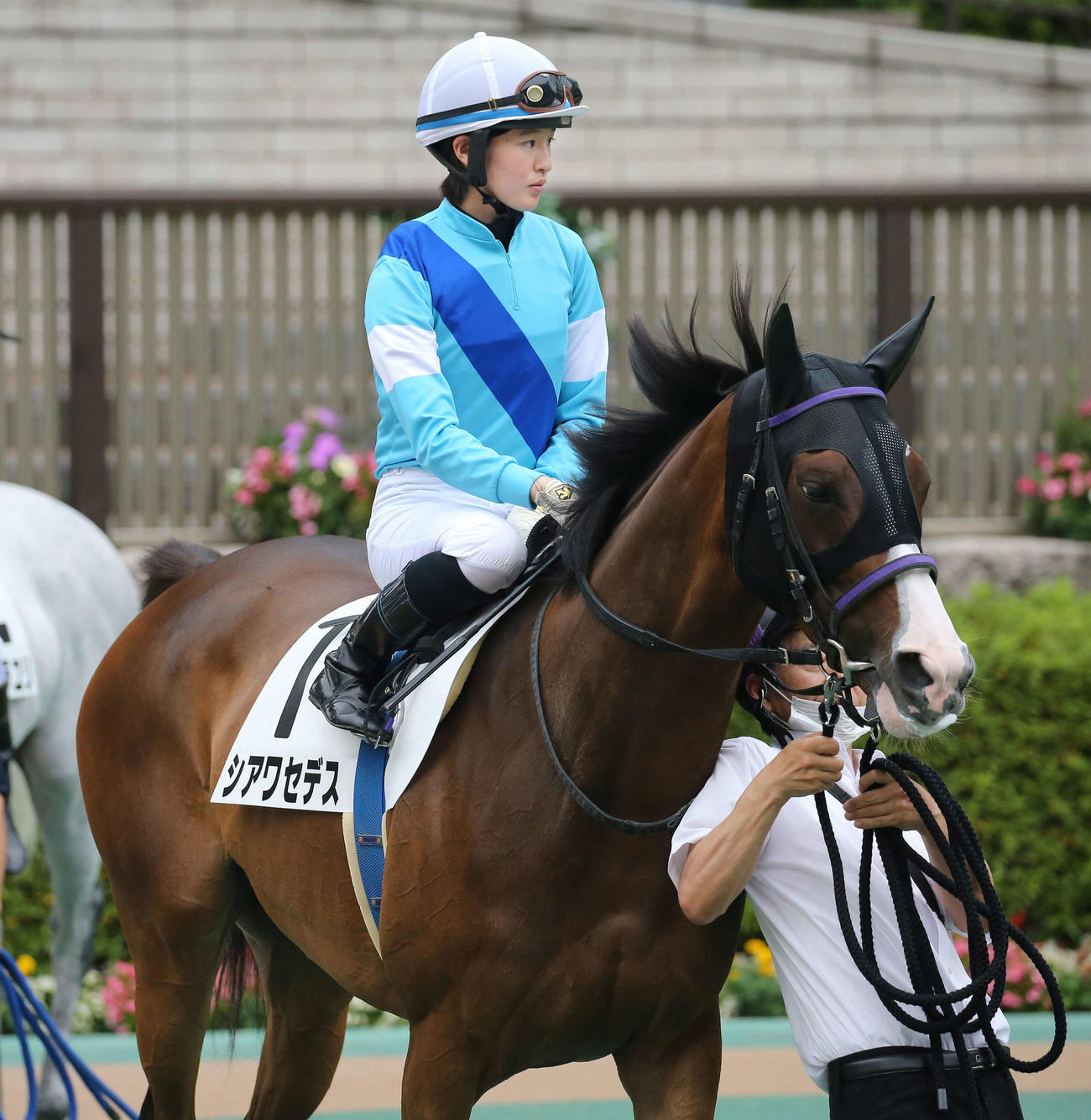 藤田菜七子騎手が騎乗したシアワセデス（2020年6月撮影）