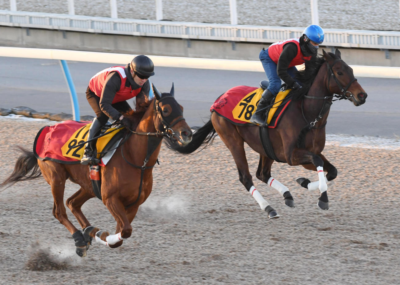 キルロード（右）はトランスナショナルと併せて追い切る（撮影・柴田隆二）