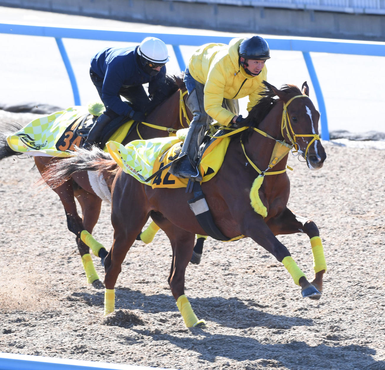 バトルクライ（右）はマイネルビジョンと併せて追い切る（撮影・柴田隆二）