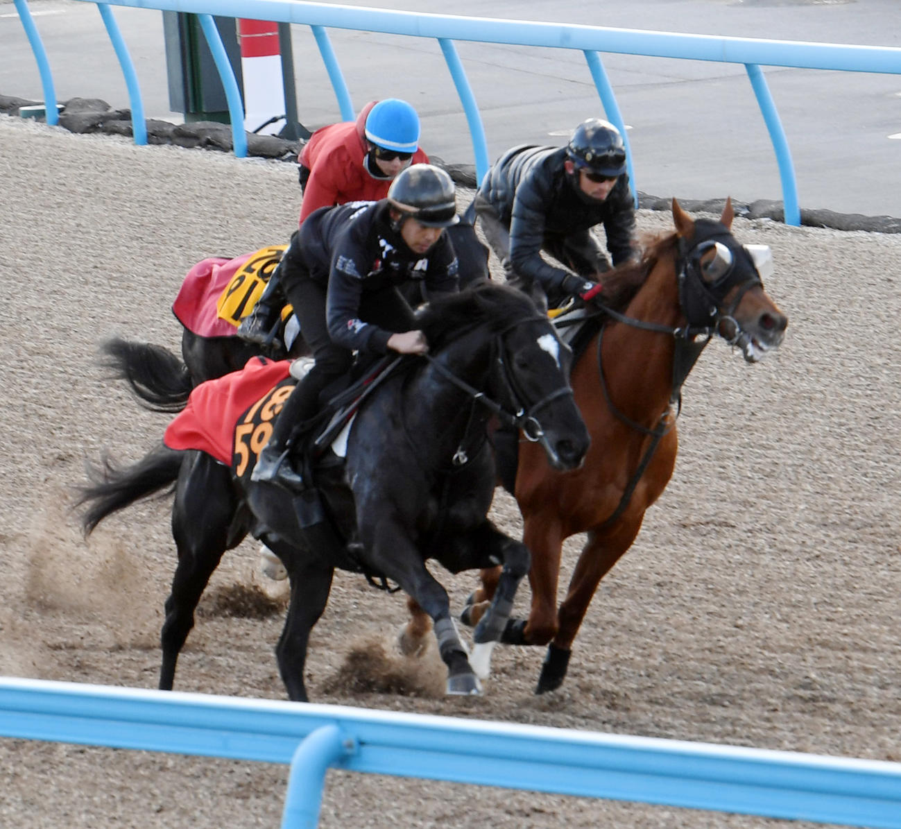 オーロラテソーロ（右）はラフト（左）、ワンダーサーイターと併せて追い切る（撮影・柴田隆二）