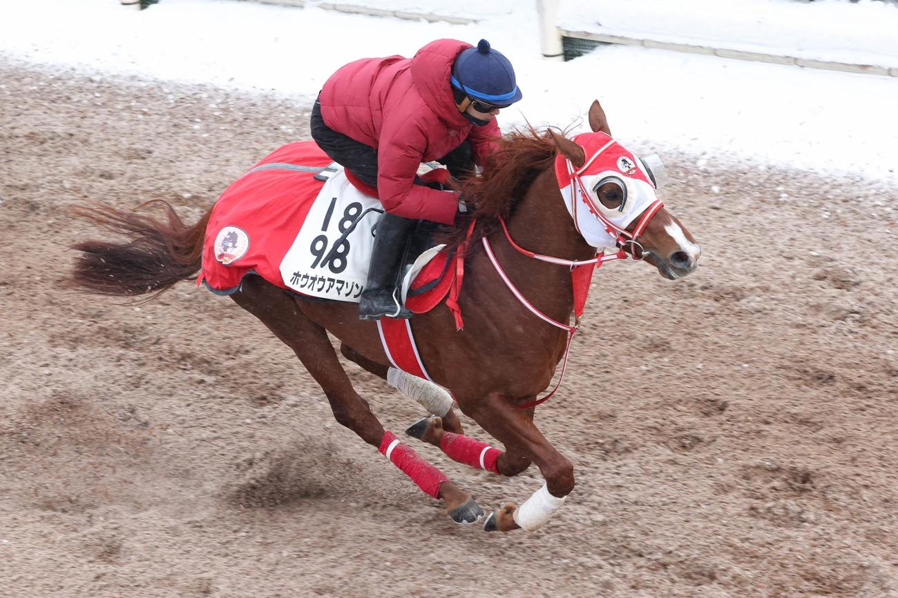 坂路で併せ馬に先着するホウオウアマゾン