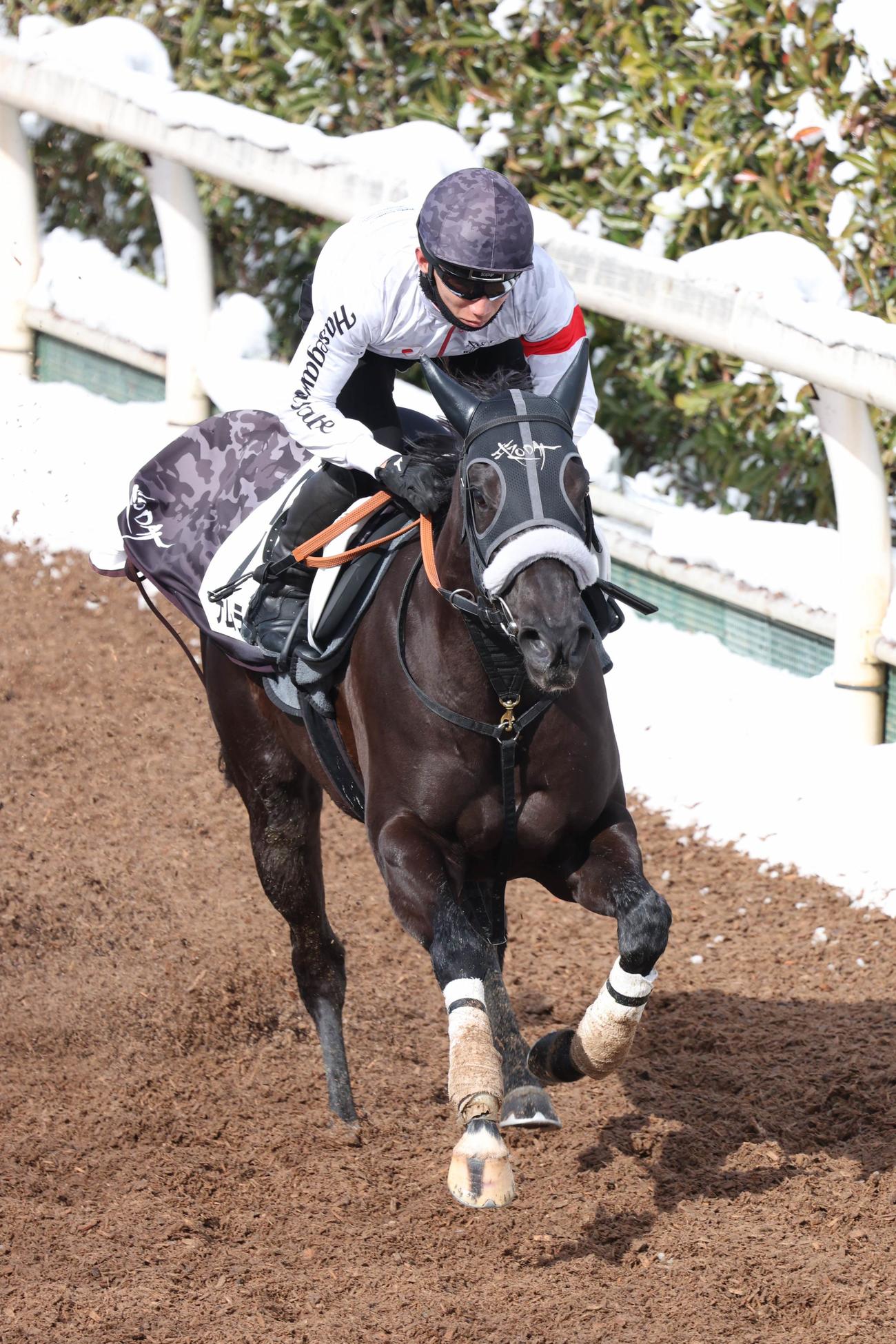 坂路で好時計をマークしたナムラクレア