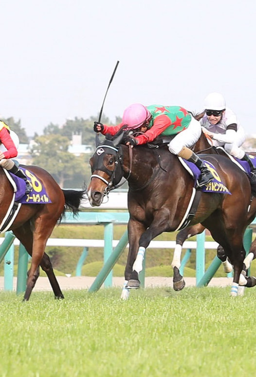 19年の桜花賞、7番人気で2着だったシゲルピンクダイヤ（右）（2019年4月7日撮影）