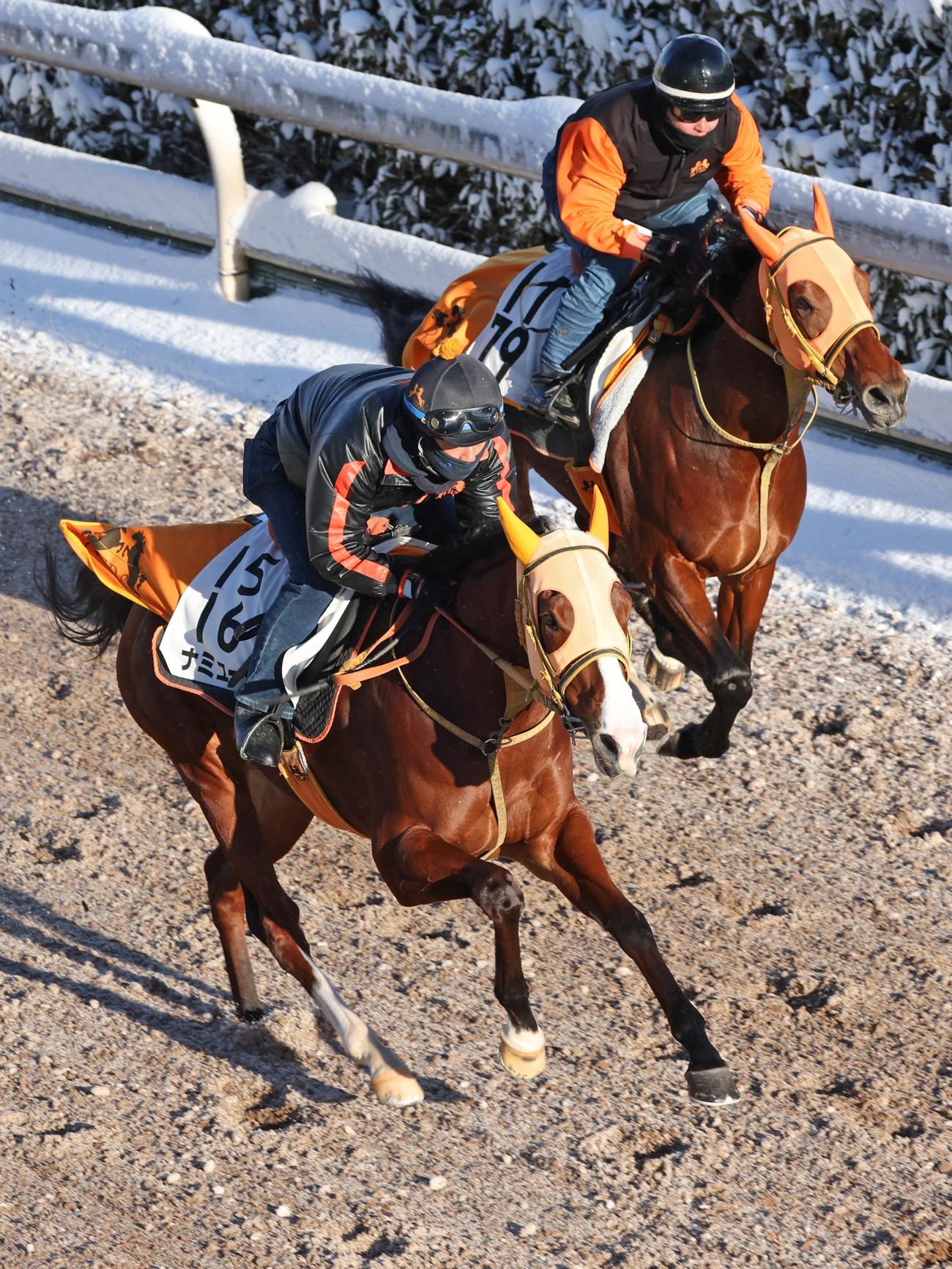 坂路で併せ馬に先着するナミュール（左）