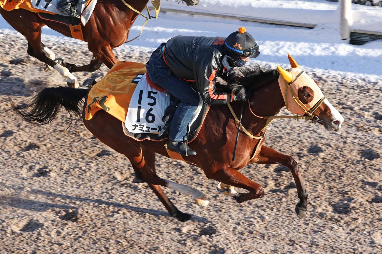坂路で併せ馬に先着するナミュール