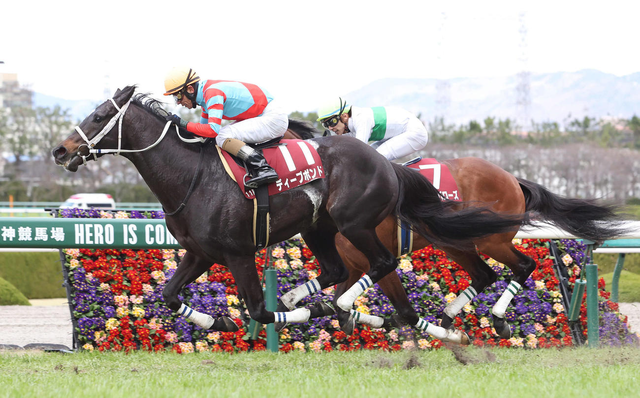 直線力強く伸びて阪神大賞典を連覇したディープボンド（2022年3月20日撮影）