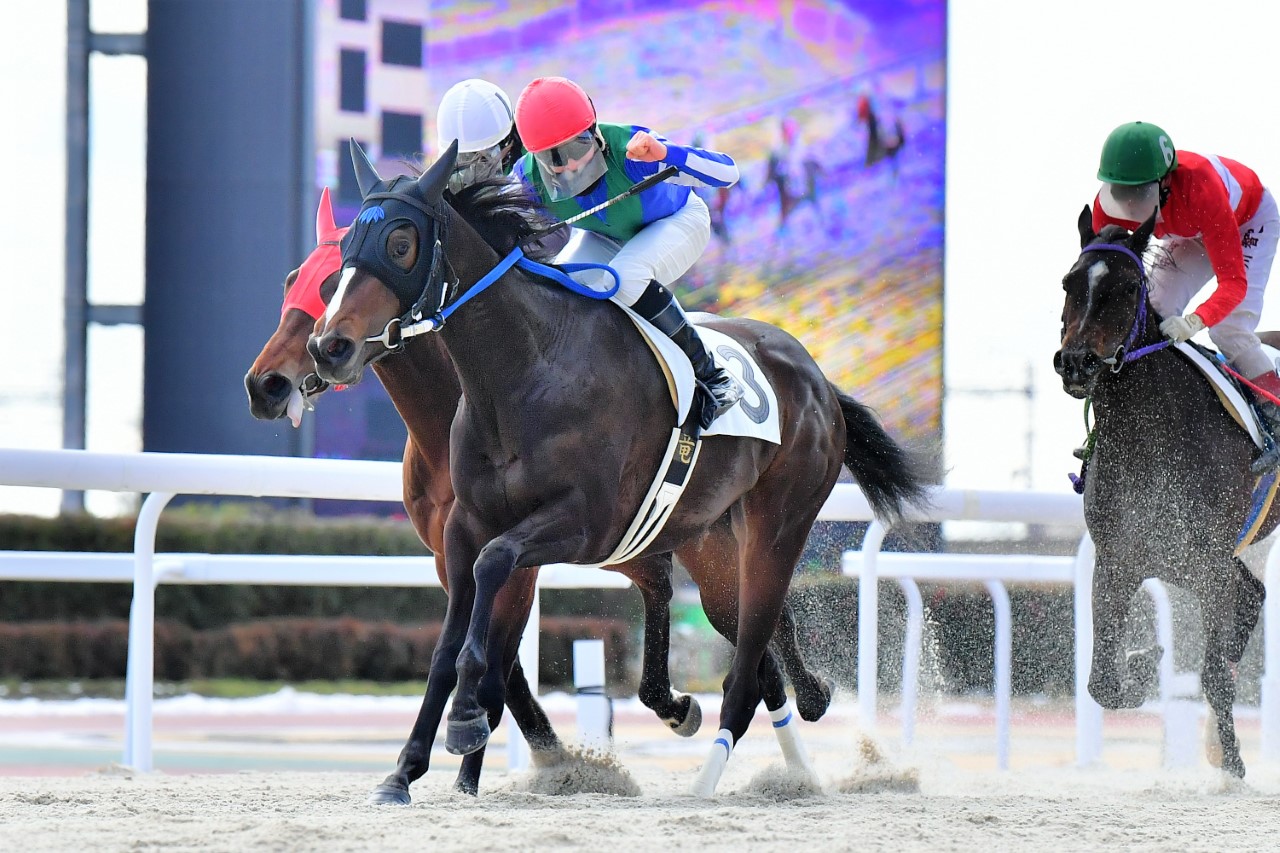 笠松3Rで勝ったオマタセシマシタ（岐阜県競馬組合提供）