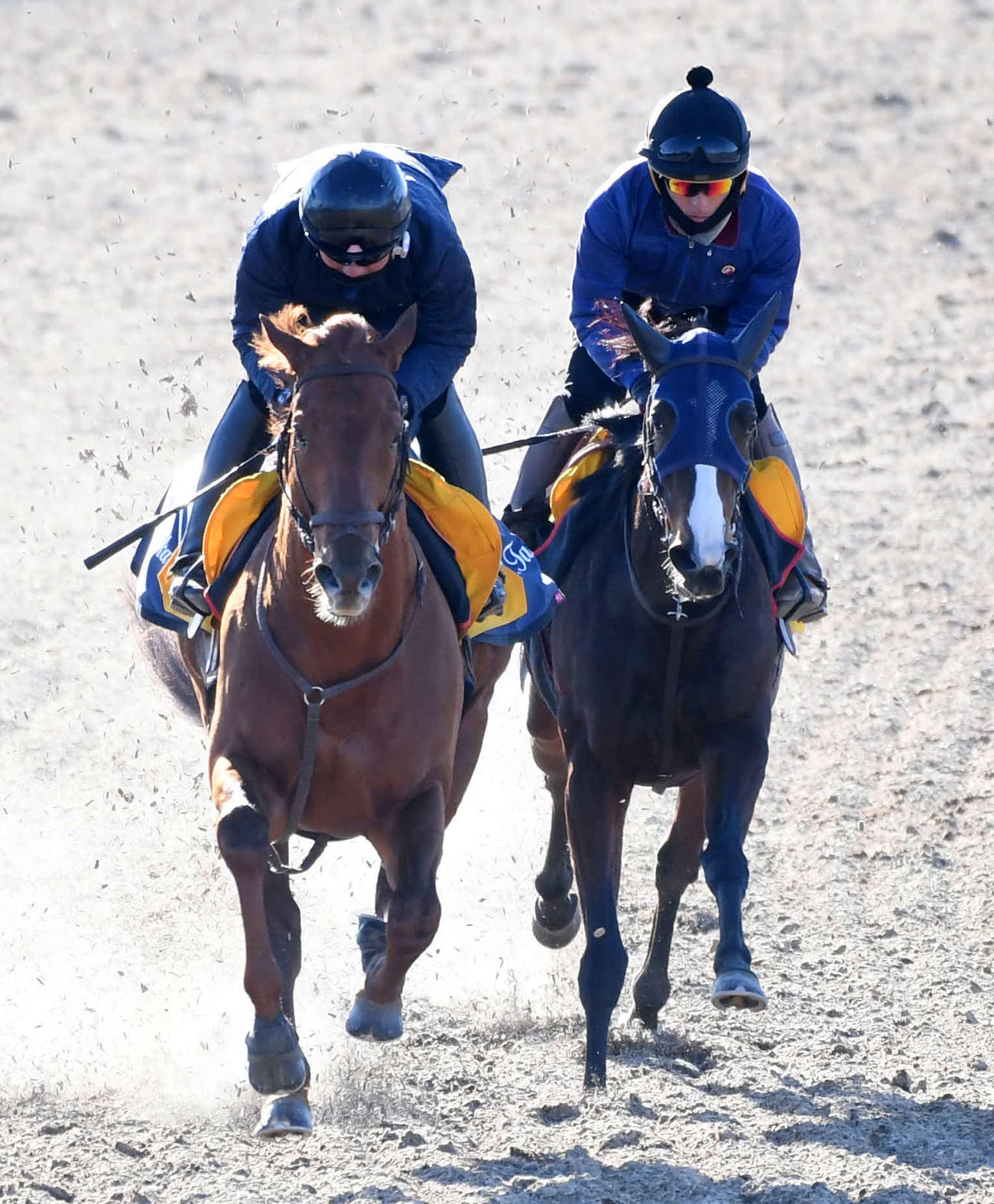 レモンポップ（左）はキャミと併せて追い切る（撮影・柴田隆二）