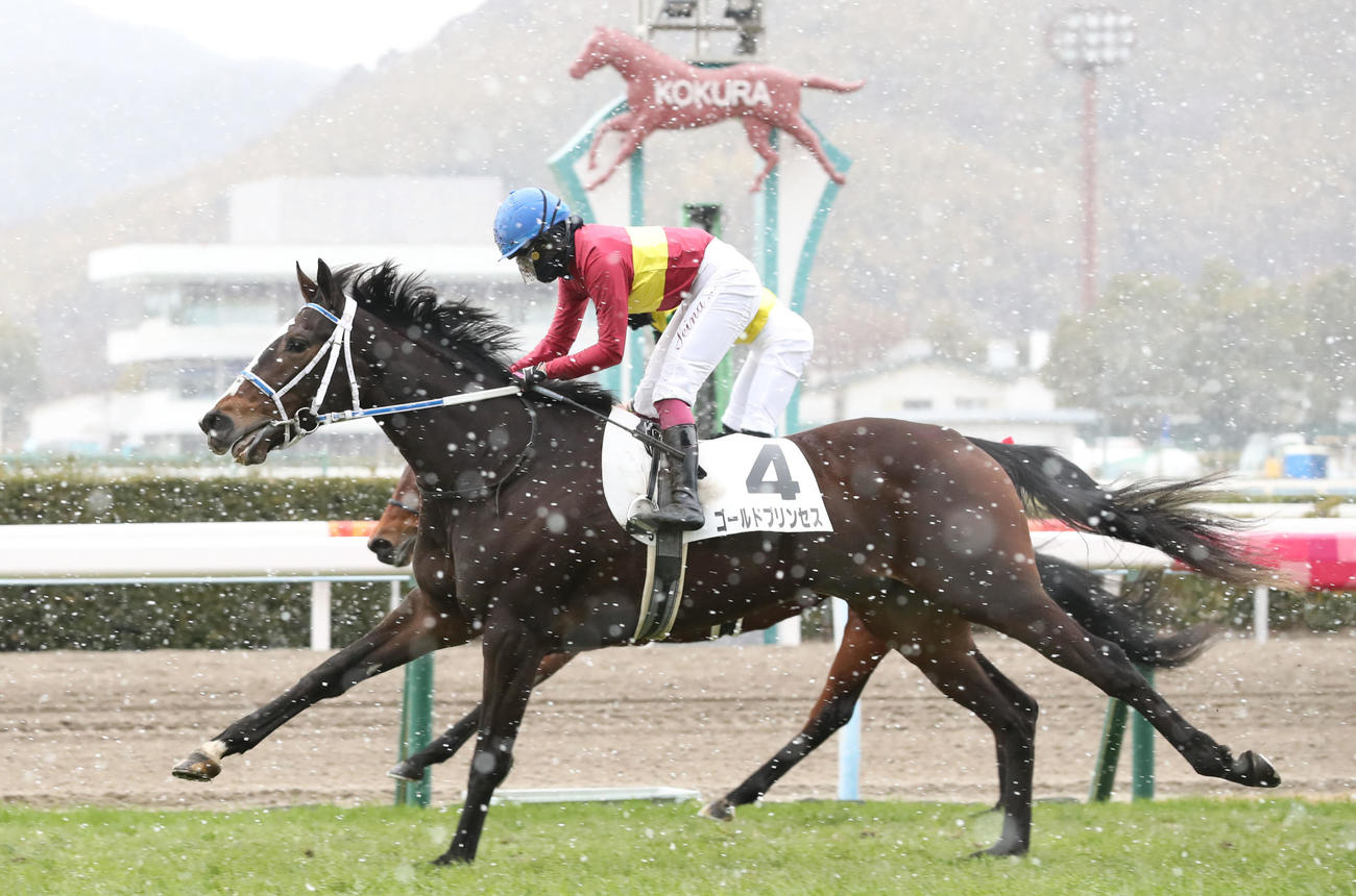 小倉5R、3歳未勝利で1着のゴールドプリンセスと今村聖奈騎手（撮影・屋方直哉）
