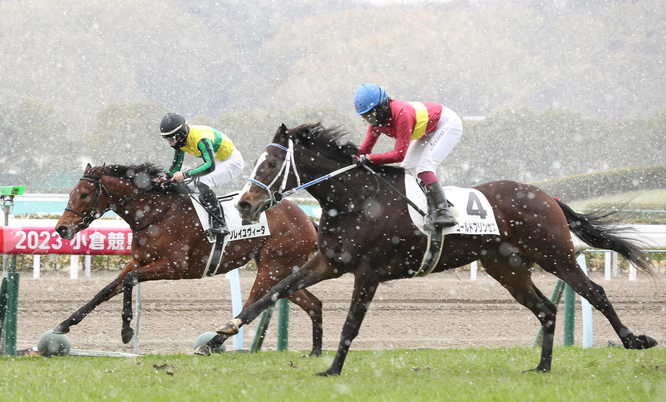 小倉5R、3歳未勝利で1着のゴールドプリンセスと今村聖奈騎手（右）（撮影・屋方直哉）