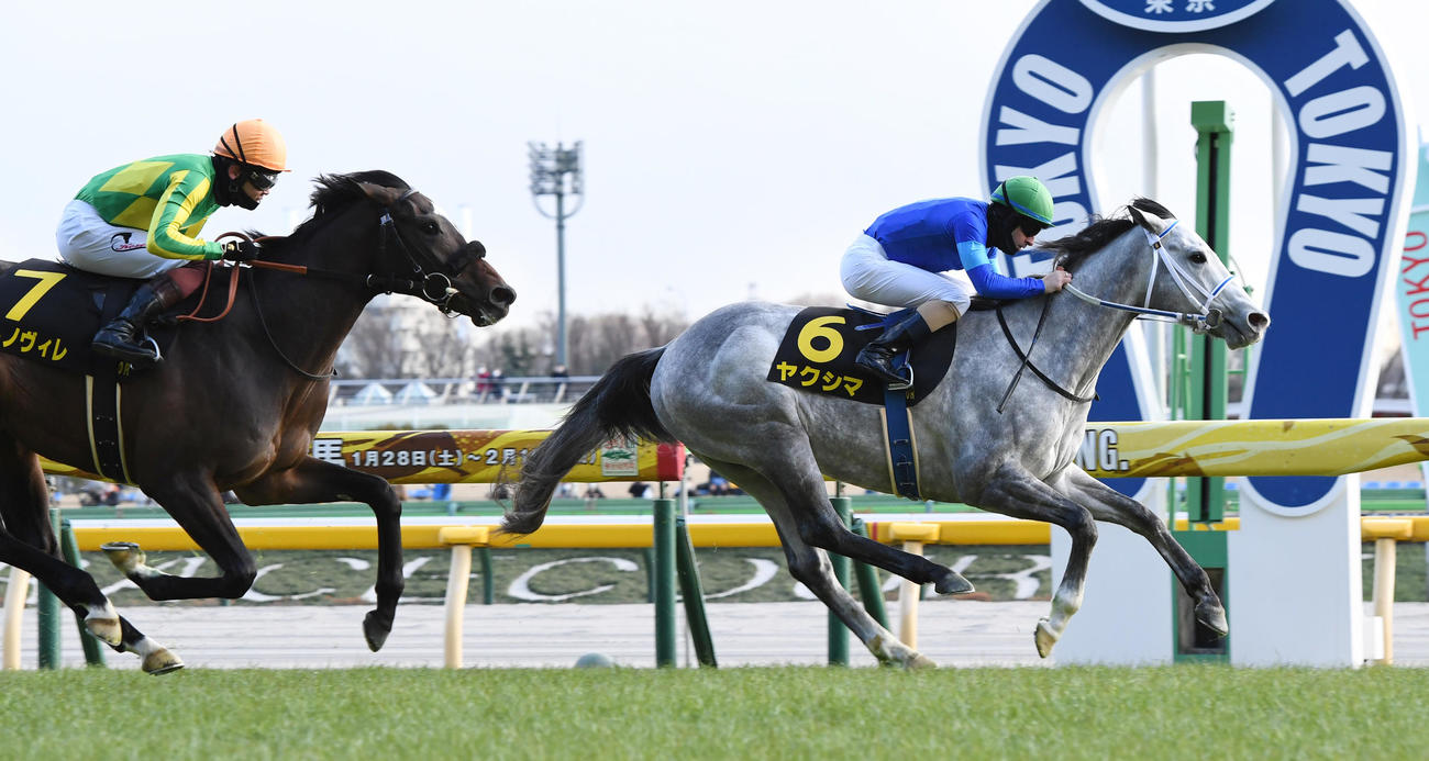 クロッカスSを制したヤクシマとルメール騎手（撮影・柴田隆二）