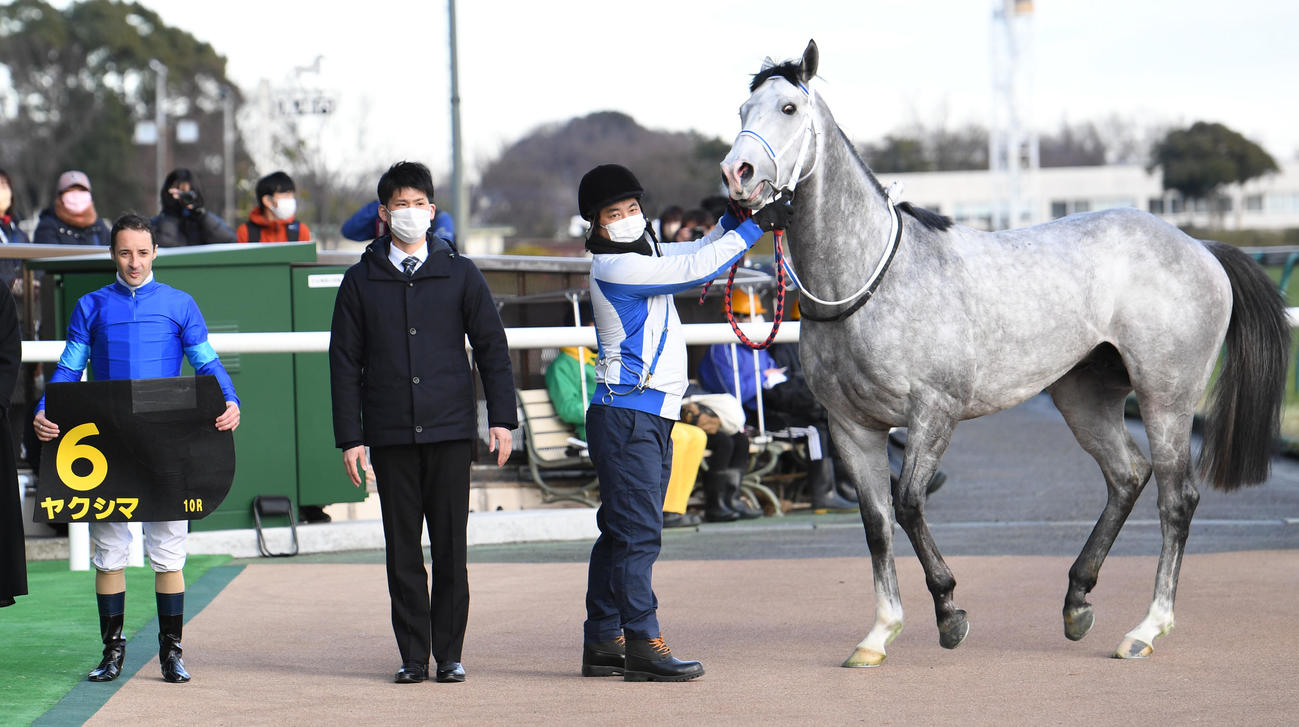 東京10R、クロッカスSを制したヤクシマとルメール騎手（左）（撮影・柴田隆二）