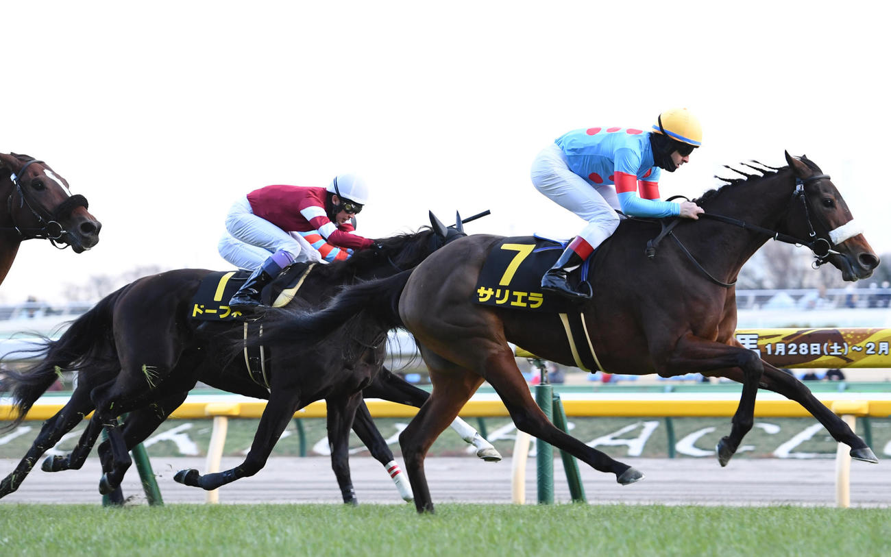 白富士S2着に敗れたドーブネと武豊騎手（左）。右は勝ったサリエラ（撮影・柴田隆二）