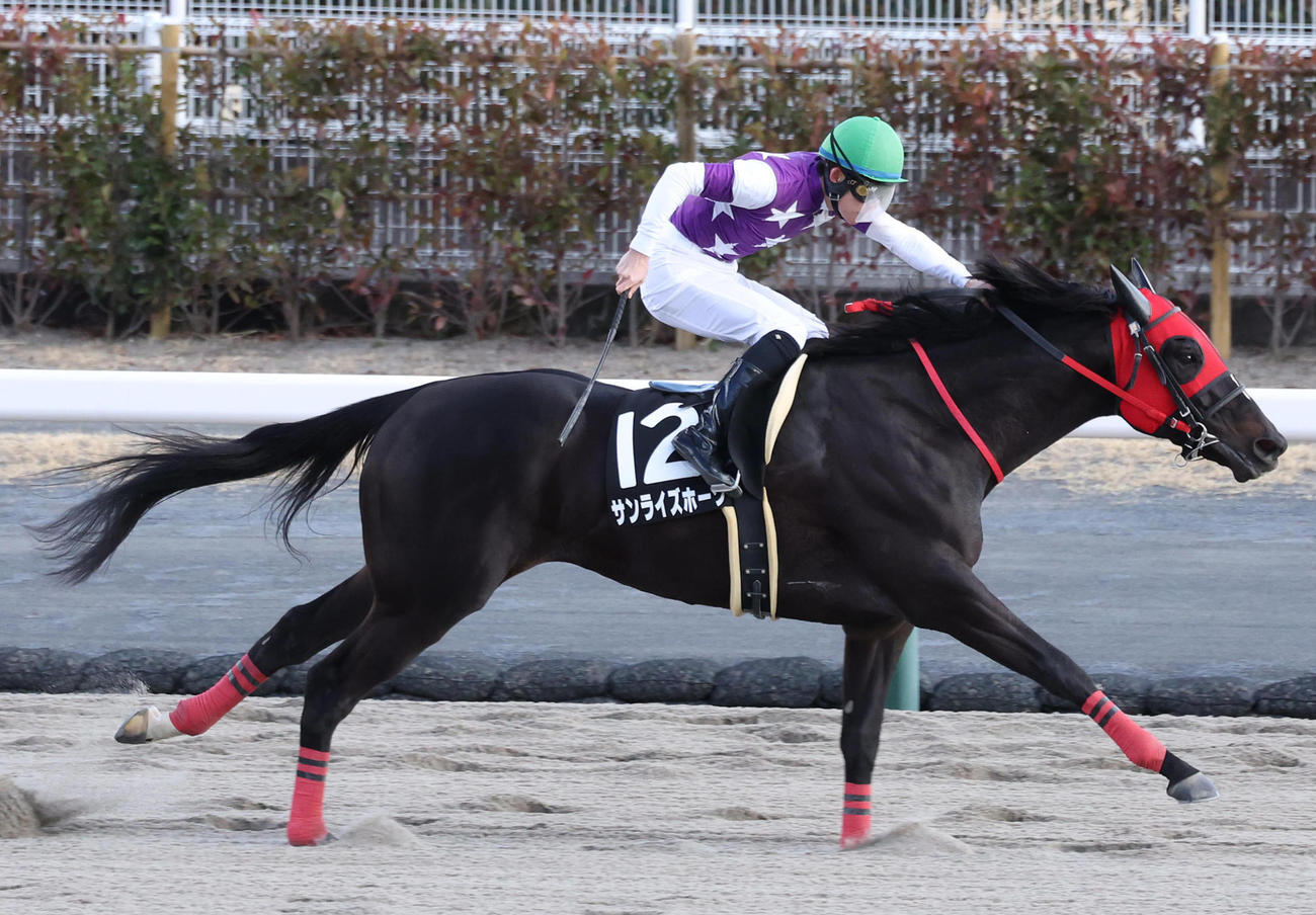 4連勝で伊賀Sを制したサンライズホークと国分優騎手（撮影・白石智彦）